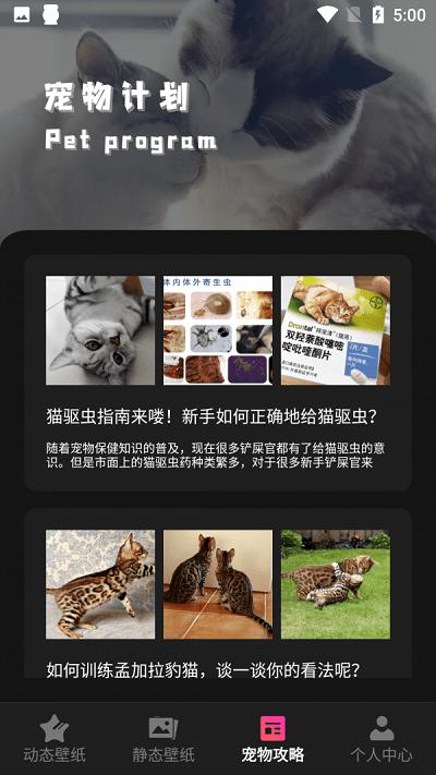 猫咪壁纸软件下载,猫咪壁纸,壁纸app,主题app